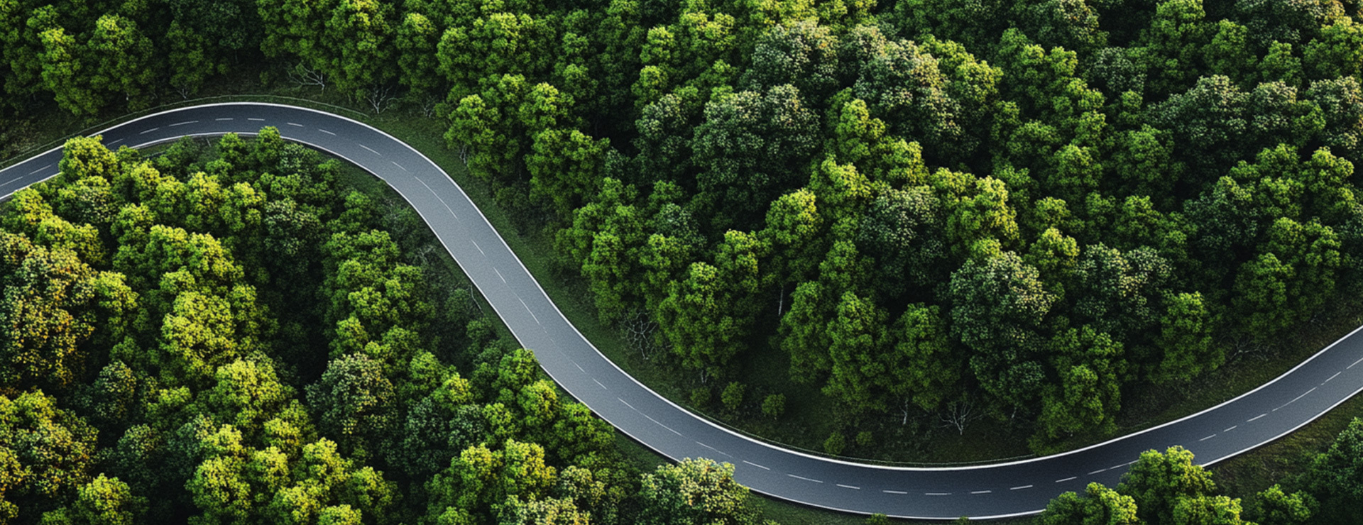 918������(�й���)�ٷ���վ